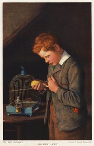 Fiú döglött házi kanárijával (színes litó) alkotó: English School