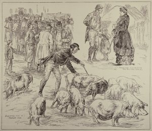 Bojkottálás Írországban, a The Illustrated London Newsból, 1886. október 4