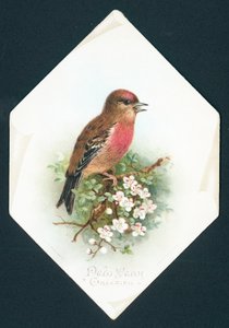 Brambling, újévi kártya alkotó: English School