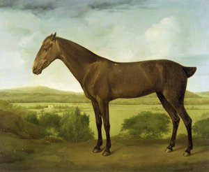 Barna ló dombos tájon, 1780-1800 körül