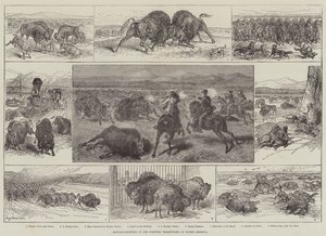 Bivalyvadászat Észak-Amerika nyugati területein (metszet) alkotó: English School