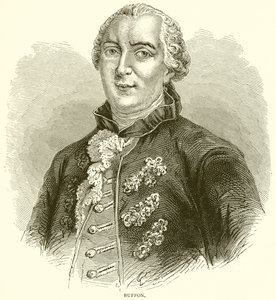 Buffon alkotó: English School