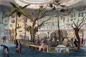 Bullocks Museum, 22 Piccadilly, London, Ackermanns Repository of Arts, 1809 alkotó: English School