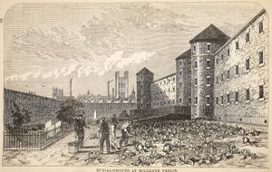 Temető a Millbank börtönben, illusztráció a The Criminal Prisons of Londonból és jelenetek a börtönéletből Henry Mayhew és John Binny, pub. 1862 alkotó: English School