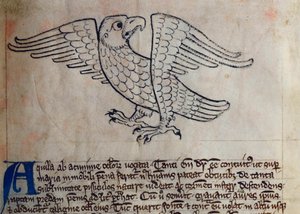 CCA-LitMs/D/10 fol. 13r Eagle, a Bestiáriumból alkotó: English School