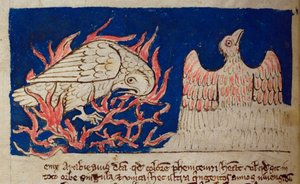 CCA-LitMs/D/10 fol. 17v Pheonix, a Bestiarytől alkotó: English School