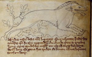 CCA-LitMs/D/10 fol. 3v Leucrota, a Bestiary-től alkotó: English School