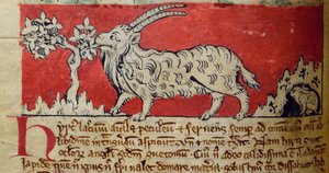 CCA-LitMs/D/10 fol. 8v Kecske, Bestiary alkotó: English School