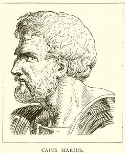 Caius Marius alkotó: English School