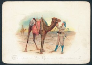 Camel Corps karácsonyi üdvözlőlap alkotó: English School