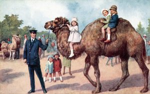 Gyermekeket szállító teve, Londoni Állatkert (színes litho) alkotó: English School