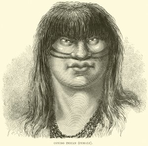 Canibo indián, nő alkotó: English School