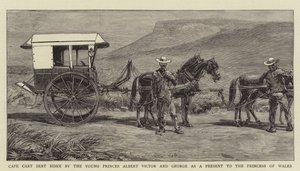 Cape Cart az ifjú Albert Victor és George herceg által hazaküldve a walesi hercegnőnek ajándékba (metszet) alkotó: English School