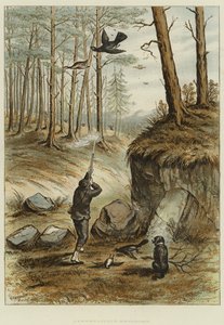 Capercailzie-lövészet (chromolitho) alkotó: English School
