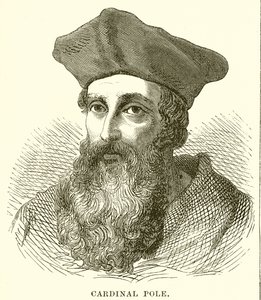 Pólus bíboros alkotó: English School