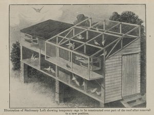 Postagalambok a háborúban, 1918. március alkotó: English School