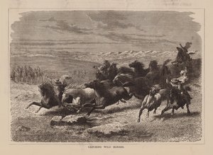 Vadlovak befogása (metszet) alkotó: English School