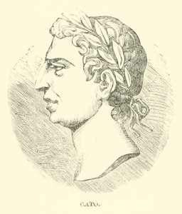 Cato alkotó: English School