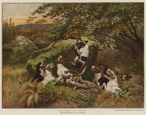 Végre elkapva (színes gravírozás) alkotó: English School