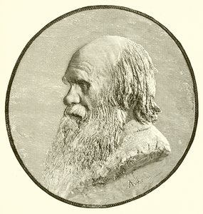 Charles Darwin alkotó: English School