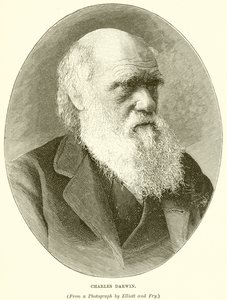 Charles Darwin alkotó: English School