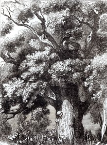 II. Károly (1630-85) Elrejtve a tölgyfában, 1651. október 14. alkotó: English School
