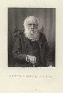 Charles R. Darwin alkotó: English School