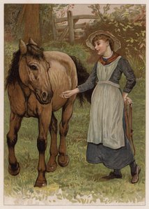 Clever Dobbin (chromolitho) alkotó: English School