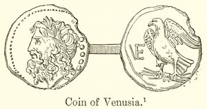Venusia érme alkotó: English School