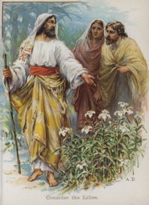 Tekintsük a liliomokat (chromolitho) alkotó: English School