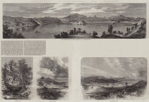 Coromandel Gold-Diggings, Új-Zéland (metszet) alkotó: English School