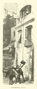 Costermonger, Nápoly alkotó: English School