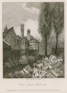 Cotton Garden Westminsterben alkotó: English School