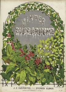A Winter Evergreens borítója