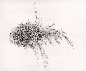 "Rák-köd" William Parsons "Observations on some of the Nebulae" című művéből, a "Philosophical Transactions of the Royal Society" című kiadványból. alkotó: English School