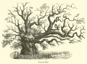 Crouch Oak alkotó: English School