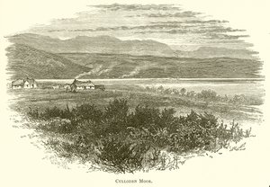 Culloden Moor alkotó: English School