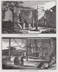 Selyem termesztése (metszet) alkotó: English School