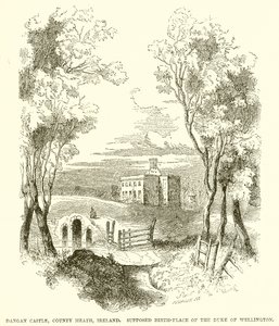 Dangan kastély, Meath megye, Írország. Wellington hercegének feltételezett születési helye alkotó: English School
