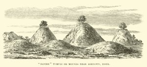 Dán Tumuli vagy Mounds közelében Ashdown, Essex alkotó: English School