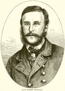 David Herbert Llewellyn alkotó: English School