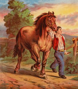 Dick Stevens és Sally (színes litográfia) alkotó: English School