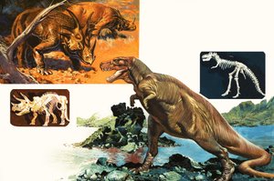 Dinosaurier und Skelette. Stegosaurus und Tyrannosaurus