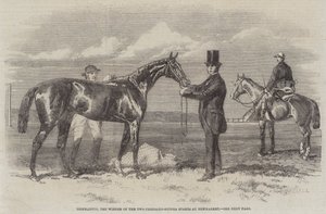 Diophantus, a Newmarket kétezer-guineai tétjének nyertese (metszet) alkotó: English School