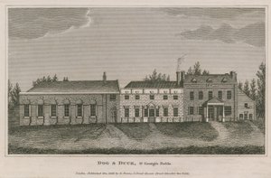 Kutya és kacsa, St Georges Fields, Lambeth alkotó: English School