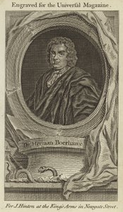 Dr. Herman Boerhaave alkotó: English School