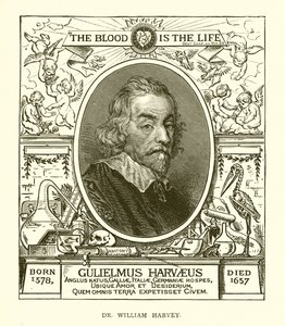 Dr. William Harvey alkotó: English School