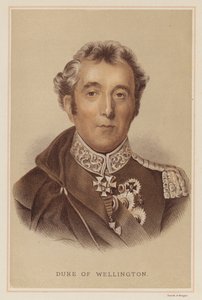 Wellington herceg (színes litó) alkotó: English School