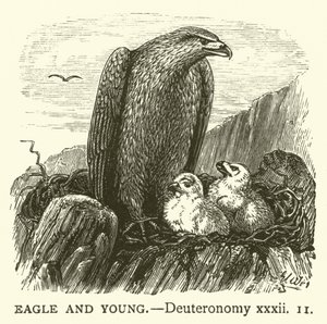 Eagle and Young, Deuteronomy, xxxii alkotó: English School
