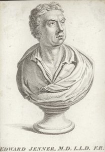 Edward Jenner alkotó: English School